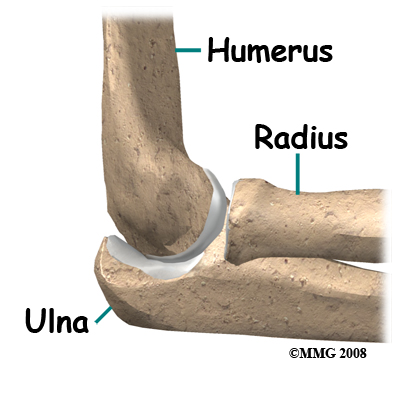 Ulnar Collateral Ligament Injuries