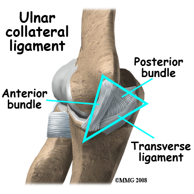 Ulnar Collateral Ligament Elbow Reconstruction